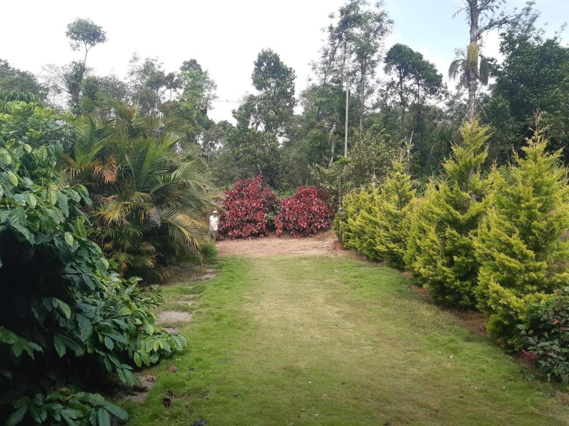 Athena Homestay Somvārpet Exterior foto